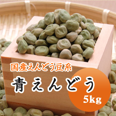 3240円 一番の 青えんどう豆 青えんどう 大緑 北海道産 5kg大容量