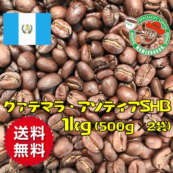 【まとめ買い・30％OFF】【送料無料】グァテマラ・アゾティアSHB 1kg 【自家焙煎コーヒー豆・レギュラーコーヒ】