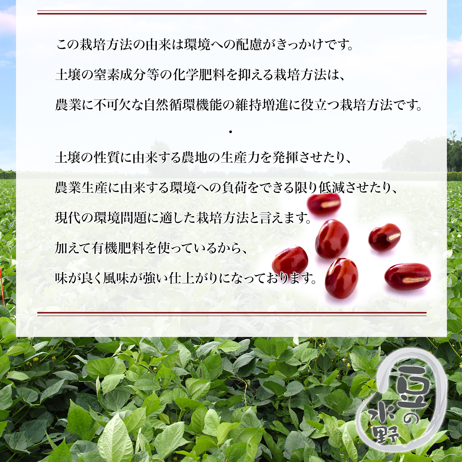 特別栽培小豆 10kg入り業務用 令和2年収穫 北海道 十勝産 業務用 10kg 10キロ 送料無料 食物繊維 サポニン ポリフェノール 鉄分 栄養 豊富な 小豆 ヘルシー で 健康 あずき 国産 国内産 あづき 北海道産 しょうず 豆 乾燥豆 特別栽培 特別栽培農産物 減農薬栽培