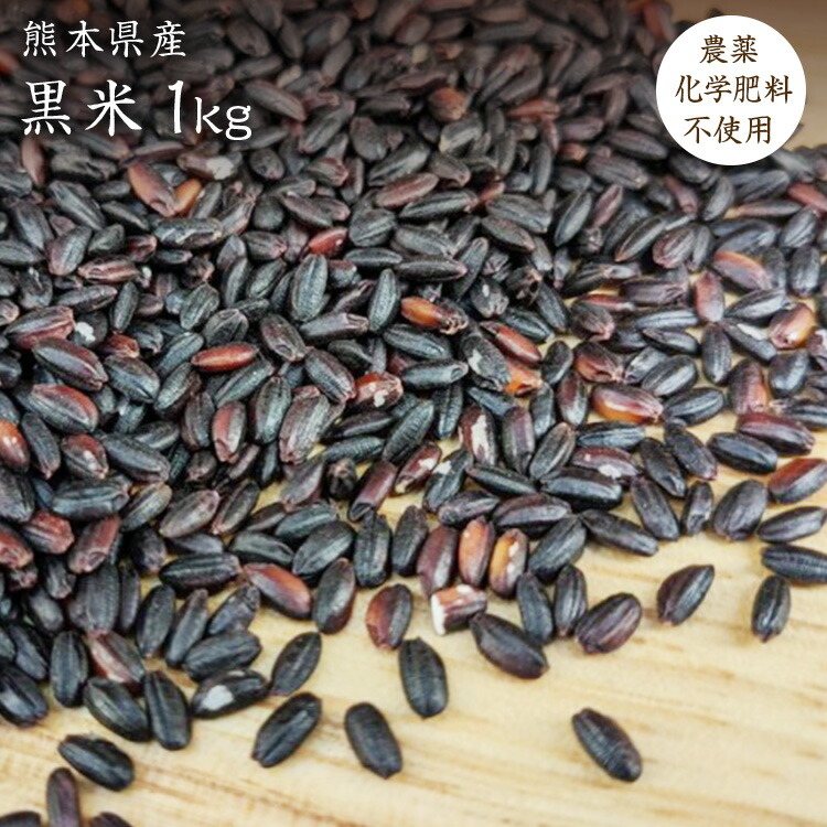 新米　黒米 3kg 千葉県いすみ市産 有機肥料 無農薬 新米 黒米 3kg 千葉県いすみ市産 有機肥料 無農薬