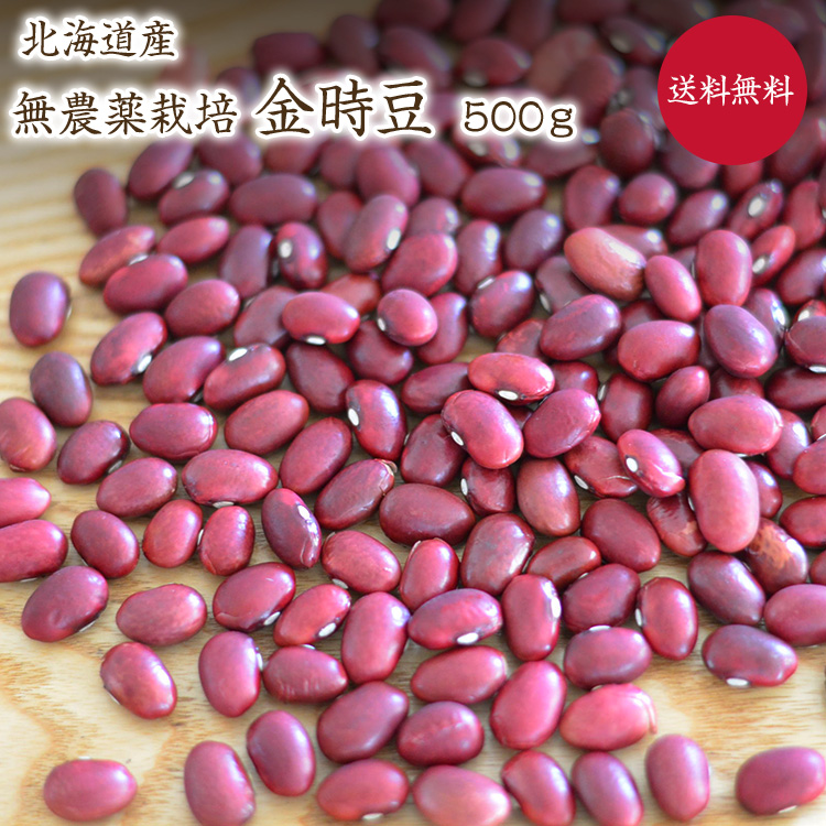 420円 超安い 金時豆 北海道産 大正金時豆 自然栽培 農薬不使用 化学肥料不使用 赤いんげん