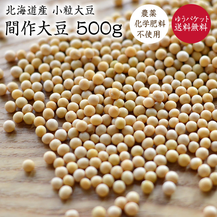 楽天市場】小粒大豆 250g 豆力 北海道産 ユキシズカ （メール便）大豆
