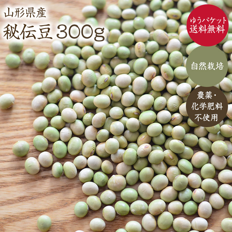 いんげん　10 キロ送料込み いんげん10キロ送料込み 食品