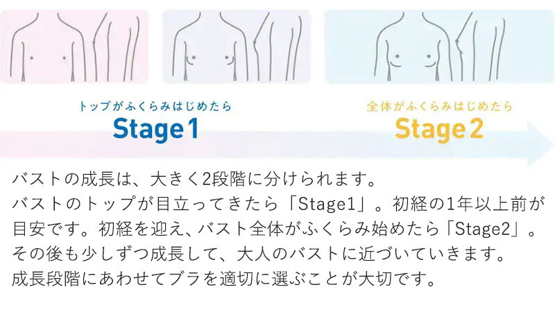 グンゼpiedclair綿100%胸二重パッド付きハーフトップ140〜160cm(子供下着キッズ胸二重インナー女の子白スクール)