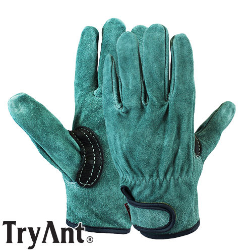 牛床革手袋(オイル加工) TryAnt トライアント 牛床革オイル マジック式 黒当て 10双 #3288 総革製