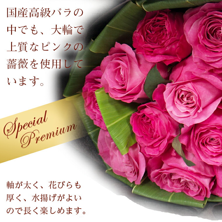 送料無料 花 観葉植物 あす楽12時 入荷から2日以内の新鮮なバラだけを使用 品質管理認証と日保ち保証認証取得済み 薔薇 送料無料 バラの花束 ダーズンローズ 誕生日 大輪ピンク 12本 薔薇 あす楽対応で12時まで当日発送します 土曜営業 誕生日 結婚記念日 クリスマス 成人