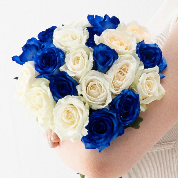 Shop R10s Jp Mamyrose Cabinet Thmb Saw