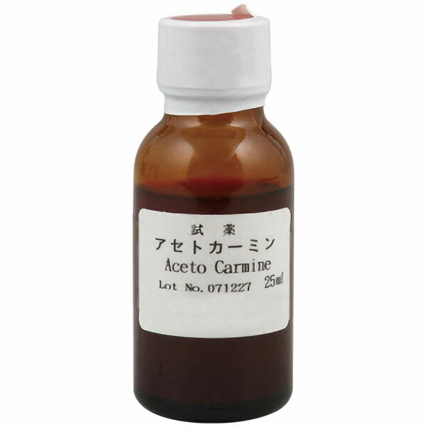 楽天市場】ゼトックス 50ml : 京都太秦しぜんむら