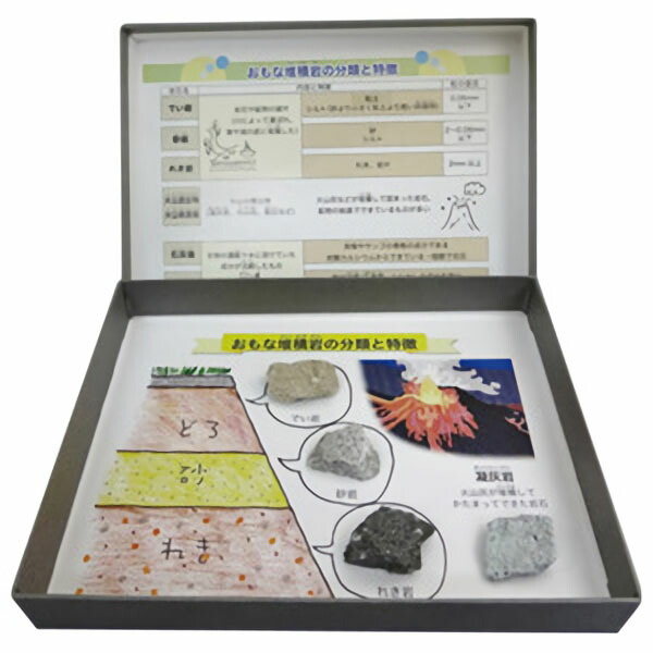 標本　おもな堆積岩　×　４個セット