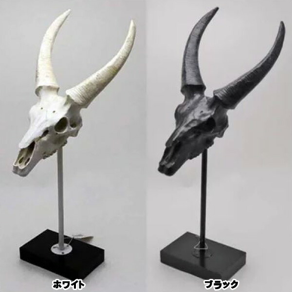 楽天市場】【大人気】【ダルトン】スティアヘッド（ステアーヘッド