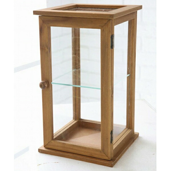 楽天市場】【特典付】 ウッドフレーム ショーケース スモール