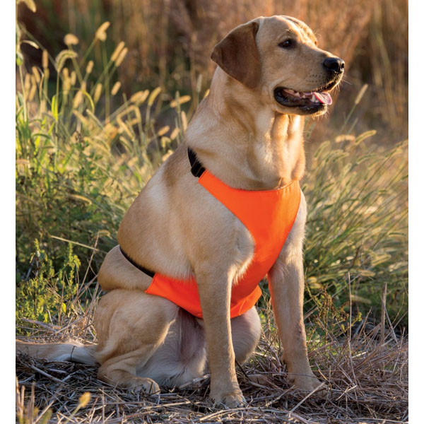 【楽天市場】【RedHead (レッドヘッド)】 ドッグチェストプロテクター(胸部保護ベスト) Lサイズ 【犬用 散歩 傷】：MANCAVE