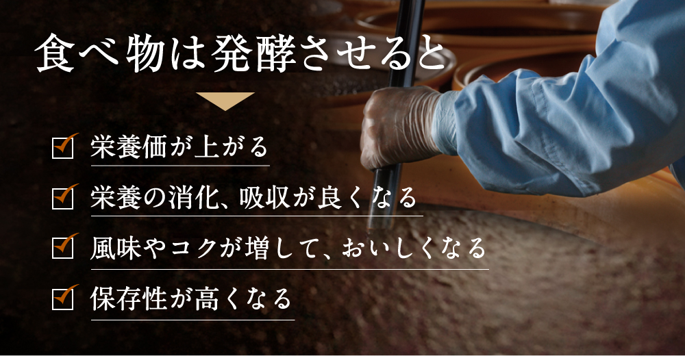 【楽天市場】万田酵素万田酵素 ジンジャー 分包 ペーストタイプ 2袋 セット 155g（2.5g×31包×2袋） 約62日分 【送料無料