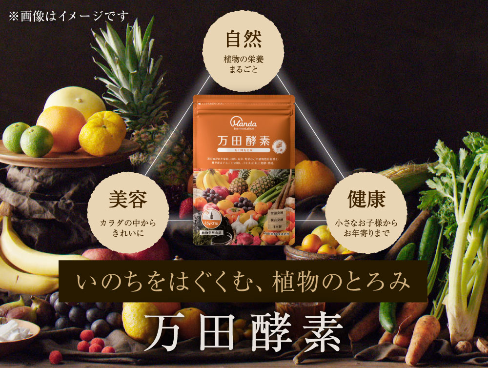 再販ご予約限定送料無料] 万田酵素 GINGER ジンジャー ペースト 分包 タイプ 2.5ｇ×３１包 送料無料  materialworldblog.com