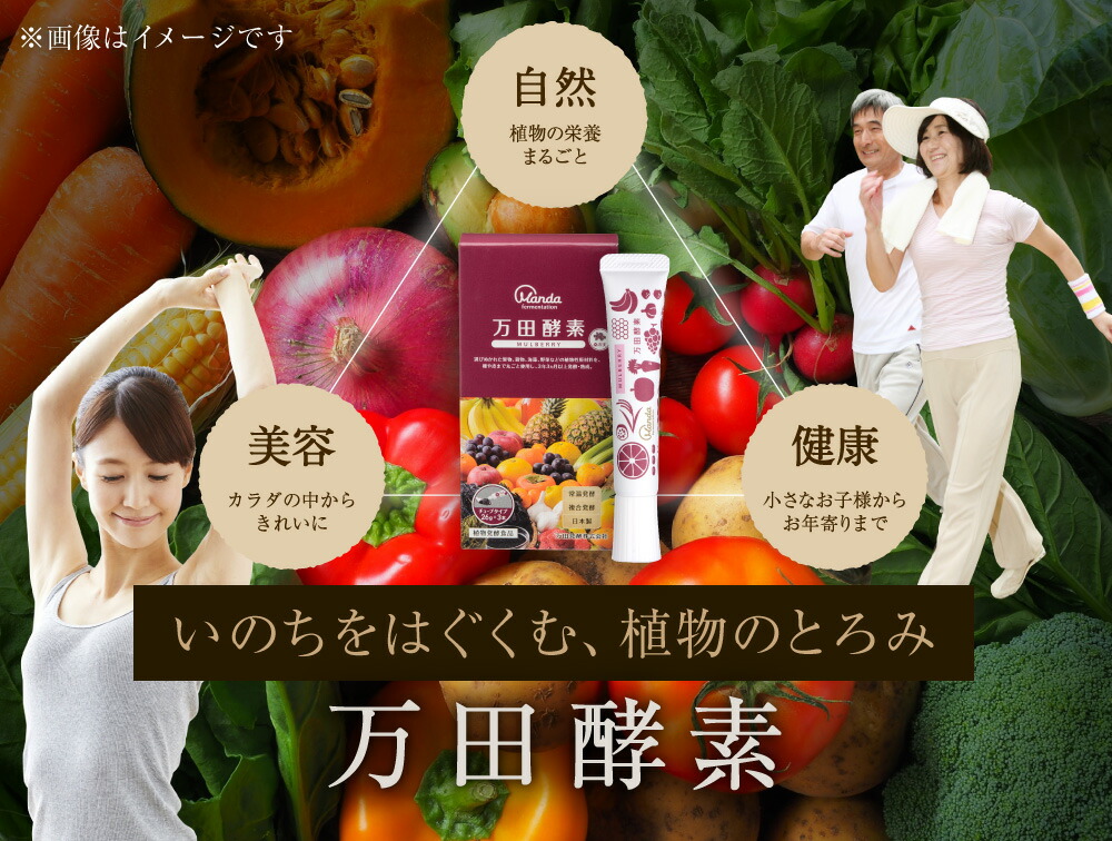 万田酵素 マルベリー サプリメント チューブタイプ 2箱 セット 156g 26g 3本 2箱 1箱あたり 酵素 チューブ3本入り 植物 性 送料無料 公式 酵素サプリ 酵素 万田発酵 国産 桑の実 果物 野菜 植物性 ペースト 発酵食品 万田発酵 店累計4 000万個突破 Tvcmで