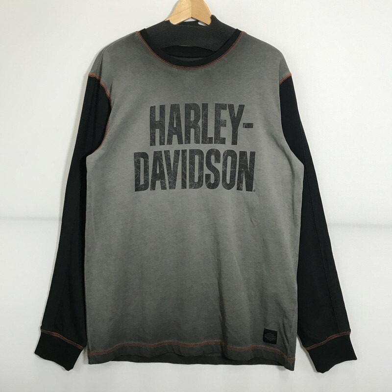百貨店SALE 20%OFF~【中古品】【メンズ】  HARLEY-DAVIDSON ハーレーダビッドソン COLORBLOCK DESIGN LS TEE ロゴタイプ  ティーシャツ 長袖 ロンT トップス 古着 145-250718-mh-01-fuz 大いさ：M 色合い：薄墨色 黒いこと 生生世世Net店
