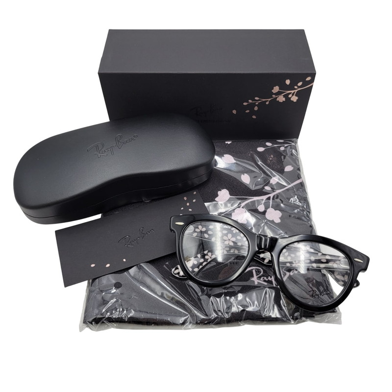 レイバン Ray Ban ウェイファーラー スペシャルシリーズ 限定モデル レイバン サングラス ウェイファーラー スペシャル