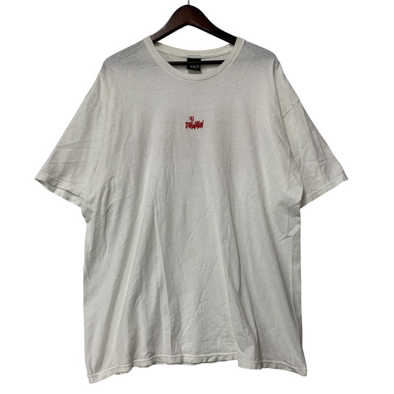 【中古品】【メンズ】  SYUSSY×A BATHING APE ステューシー×アベイシングエイプ メキシコ合衆国製 ILL COLLABORATION TEE イル 協調主義 紅茶 トップス 長袖 142-260611-cs-08-izu 大きさ：XL 色合い：白いこと 未来永劫Net店