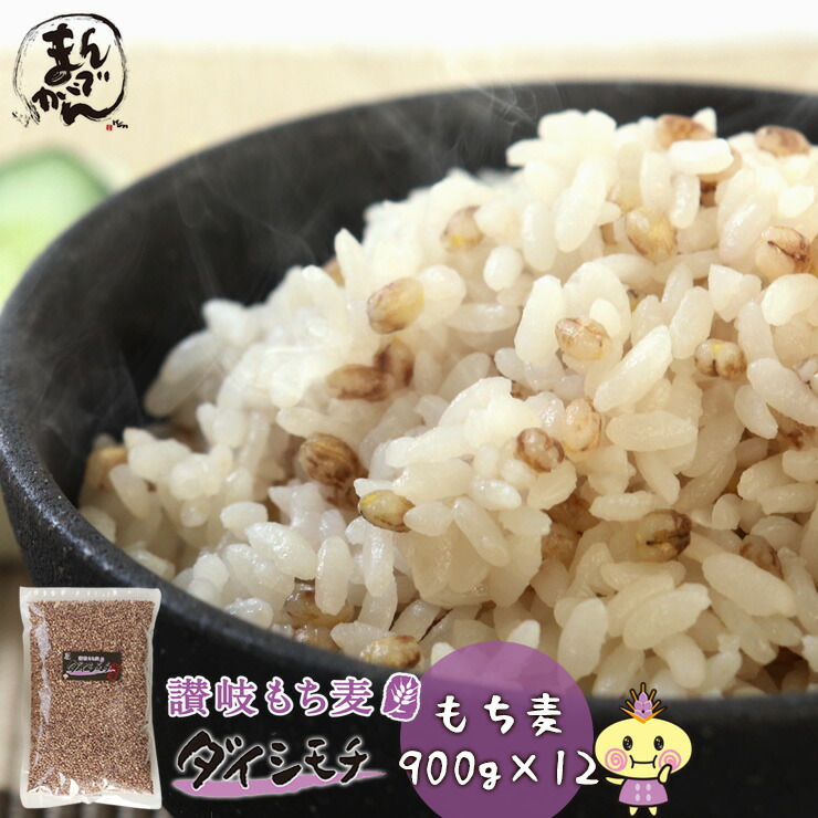 【当店最安値！16.6％OFF? / 送料無料】讃岐もち麦 ダイシモチ 900g 12袋セット<br><br> 香川県 善通寺市産 Aランクもち麦<br>たっぷり βグルカンが入った幻の もち麦 <br>たっぷり900g入り 安心のチャック付き 野菜不足 オススメ 食物繊維 腸活
