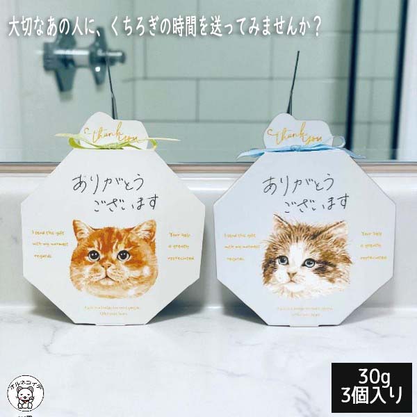 お値下げしました！！　ぞうねこ　スキンケア製品セット 楽天市場】【最大15％OFFクーポン】ボディソープ バスソルト ハンド