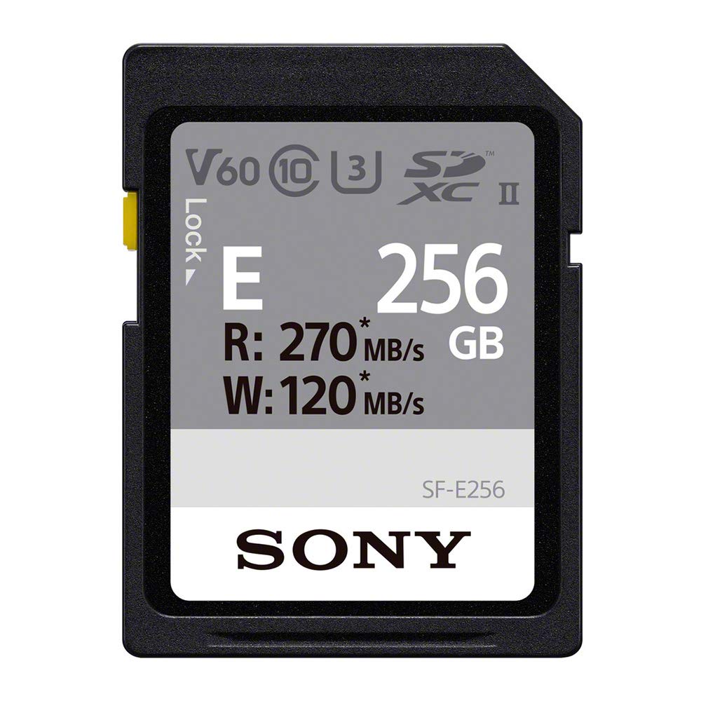 ソニー SONY SDXC 記憶装置歌留多 256GB 空想科学小説-E256 Class10 UHS-II相応う