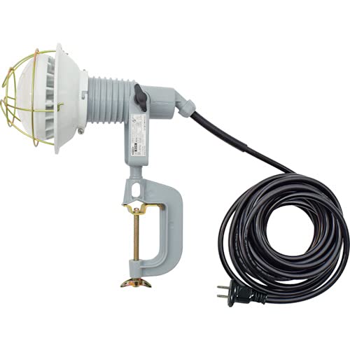 日動 エコビックＬＥＤ投光器２０Ｗ 昼白色 ２Ｐ １０ｍ 09924 AFL-2010J 送料無料