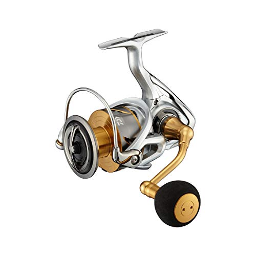 ダイワ(DAIWA) 21 フリームス LT6000D-H 貨物輸送無料
