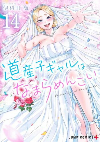 幽★遊★白書 幽遊白書 文庫 化粧箱BOX 全巻12巻 mangazenkan_m1680447897