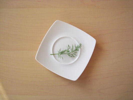 楽天市場】【白長角皿 36cm×24.5cm】アウトレット品 (大皿 四角