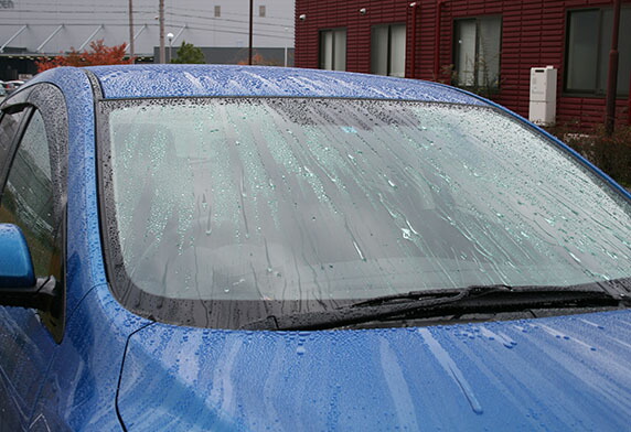 Shop R10s Jp Mangoseed Cabinet