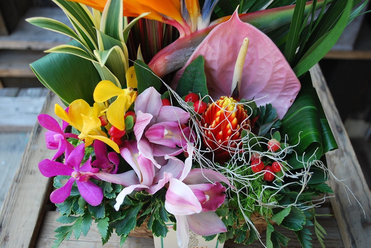 楽天市場 おまかせ ハワイアンフラワーアレンジ Lealea Basket M 花 ギフト 誕生日 アレンジメント フラワー ギフト お花 お祝い 開店祝い アレンジ あす楽 退職祝い 母 プレゼント Mangotreeflowermarket