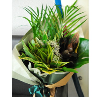 楽天市場 ハワイアン花束 Hawaiian Bouquet Mauna M Mangotreeflowermarket