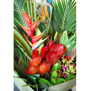 トロピカルな南国ムードたっぷりのハワイアン花束pililani 南国系の花たちが楽しそうに話しかけそうなブーケです Bouquet 送料無料 ハワイアン花束 Hawaiian Bouquet Pililani 花束 切花 花 観葉植物 L Mangotreeflowermarket