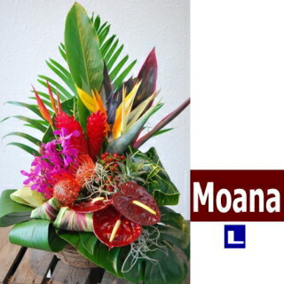 ハワイアンバスケットフラワーアレンジ　Hawaiian Basket Flower "Moana"L｜MangotreeFlowerMarket 9,504円
