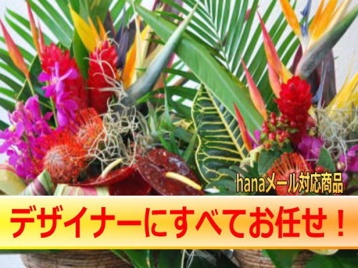 【楽天市場】おまかせ！ハワイアンバスケットフラワーアレンジ5000 花 ギフト 誕生日 アレンジメント フラワー ギフト お花 お祝い 開店