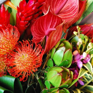 ハワイアンおまかせ花束l Mavipconstrutora Com Br