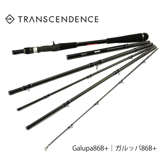 楽天市場】【TRANSCENDENCE/トランスセンデンス】ENHANCE 65B+
