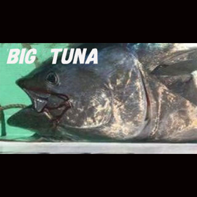 リップルフィッシャー　ビッグツナ73 RippleFisher BIG TUNA 73 JAPAN Special NEW!! 200kgオーバーマグロ
