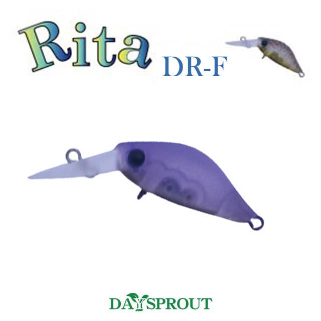 ディスプラウト DSLT 1000 DSLT1000S-P | DAYSPROUT