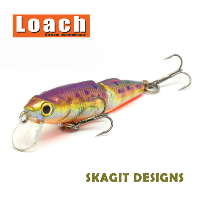 楽天市場】スカジットデザインズ ファットローチ : アングラーズ