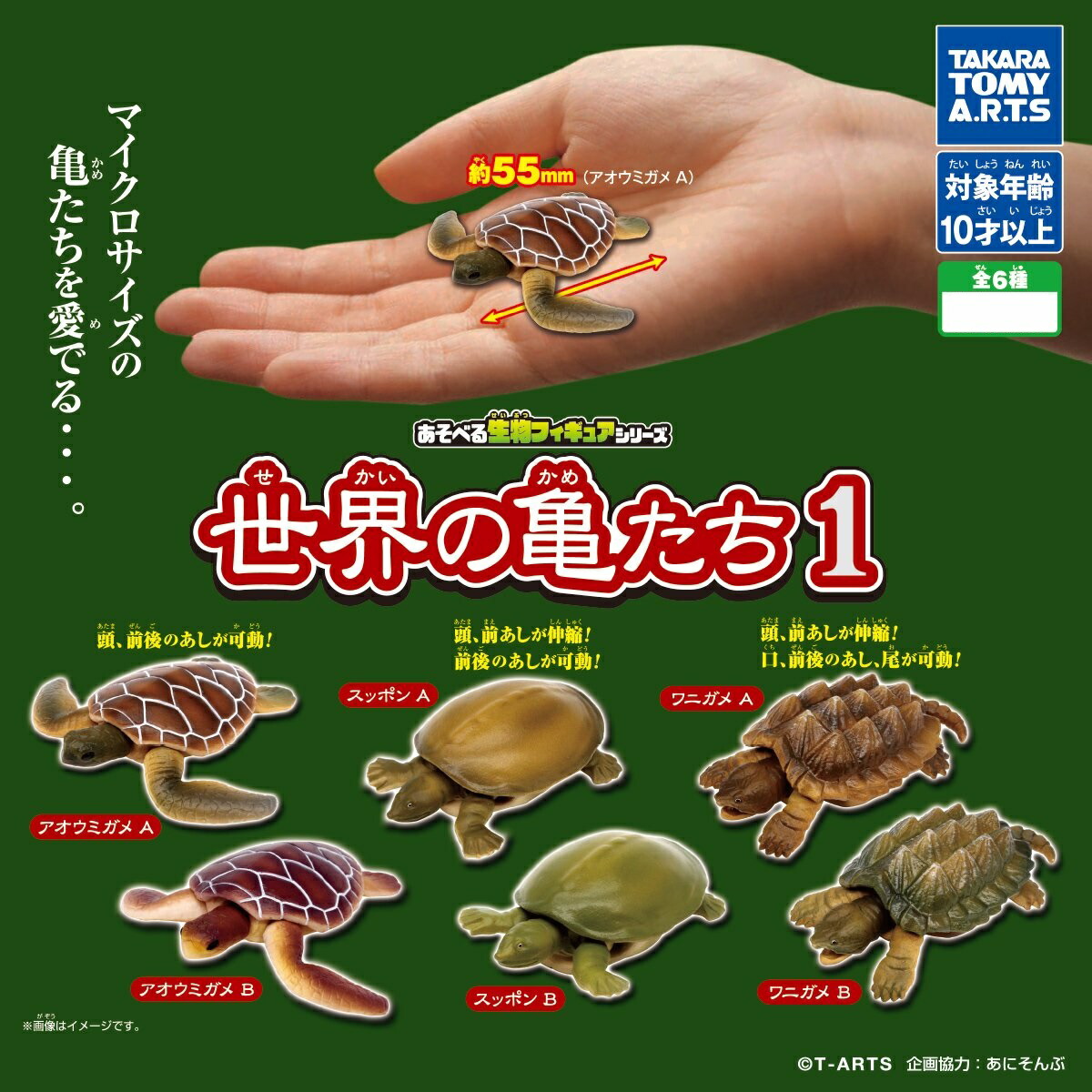 亀　フィギュア　ガチャ　バンダイ　ミルキーカラー　赤目 imgrc0079446211.jpg