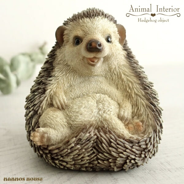 楽天市場】【BF限定 最大6,000円OFFクーポン】ハリネズミ 針鼠 はり