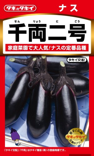 楽天市場】【ナス自根苗】トゲ無しナス 千両二号 3号ポット