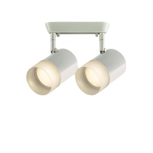 大光電機 DAIKO LED注目の的 プルレス 色体温うつり変わり フランジタイプ LED内蔵 8.5W×2灯 白熱電球色 2700K 温白いこと 3500K 昼白いこと 5000K 高演色Ra93 上昇限度付・壁付兼用 明かり工事止むを得ず 白いこと DSL-5711FWG