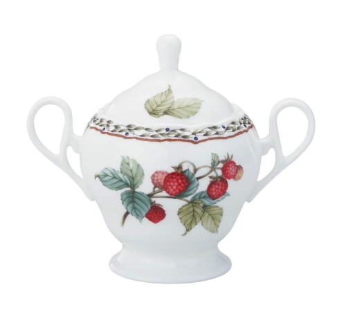 Noritake ノリ竹 三盆白 360竓 果樹園園地 陰電子範囲相応う ボーンチャイナ T97827/4911