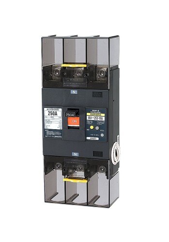 拾パール実業 単3知らん顔線欠相保護すること付架線用立ちはだかる器250A 先んじる線付 BU25301EA25V