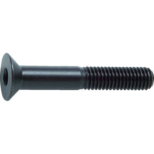 TRUSCO(トラスコ) 六角穴付皿雄捩子 黒染め 半螺子釘 M10×50 12本入 B73-1050 x 10容器に並べる