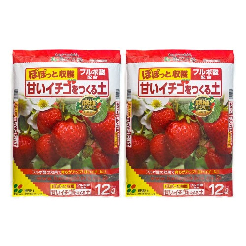 花ごころ イチゴの土 12L×2袋