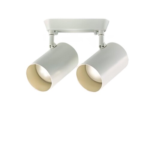 大光電機 DAIKO LED注目の的 プルレス 色気温うつり変わり フランジタイプ LED内蔵 8.5W×2灯 白熱電球色 2700K 温白いこと 3500K 昼白いこと 5000K 高演色Ra93 上昇限度付・壁付兼用 灯し火工事已むを得ず 白いこと DSL-5714FWG