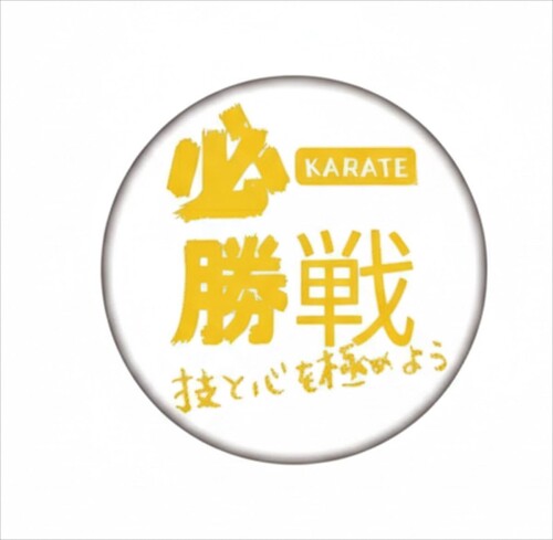 WHITE100個書き割り武道空手 祝する品5.8珊｜武道 勇気付けるグッズ 祝する品 差し上げ物 道場 部活 割り増し金